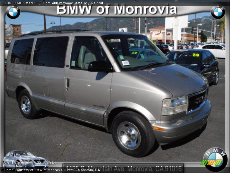 Light Autumnwood Metallic / Neutral 2002 GMC Safari SLE