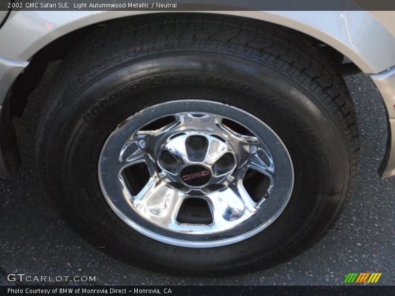 Light Autumnwood Metallic / Neutral 2002 GMC Safari SLE