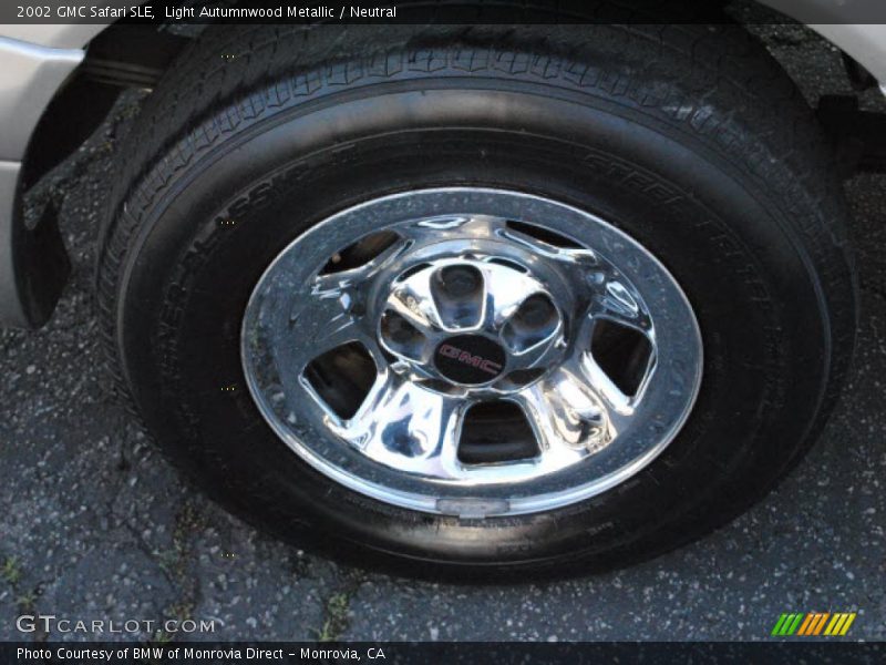 Light Autumnwood Metallic / Neutral 2002 GMC Safari SLE