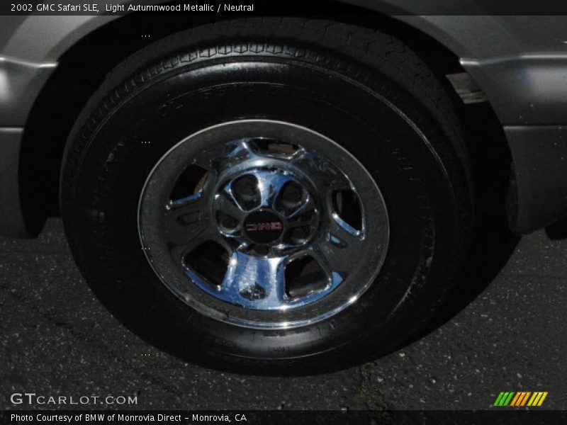 Light Autumnwood Metallic / Neutral 2002 GMC Safari SLE