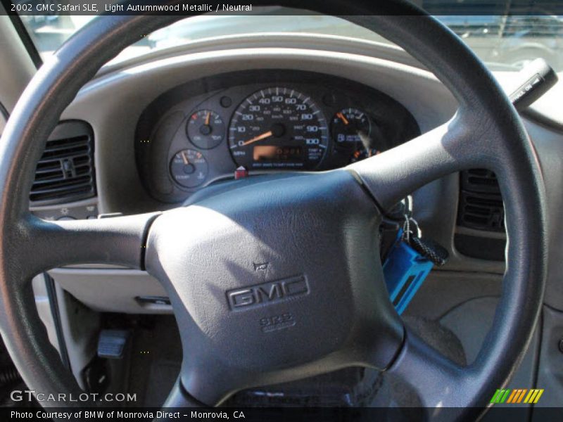 Light Autumnwood Metallic / Neutral 2002 GMC Safari SLE