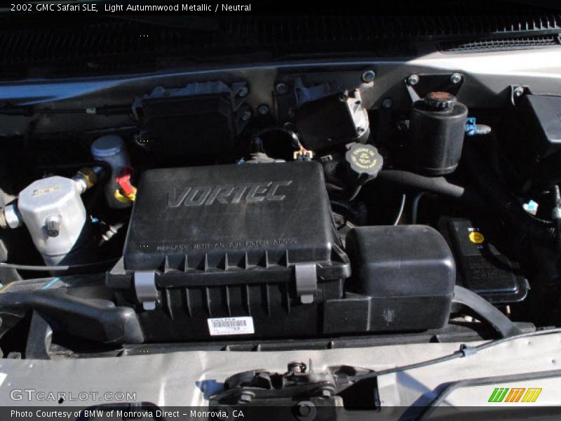 Light Autumnwood Metallic / Neutral 2002 GMC Safari SLE