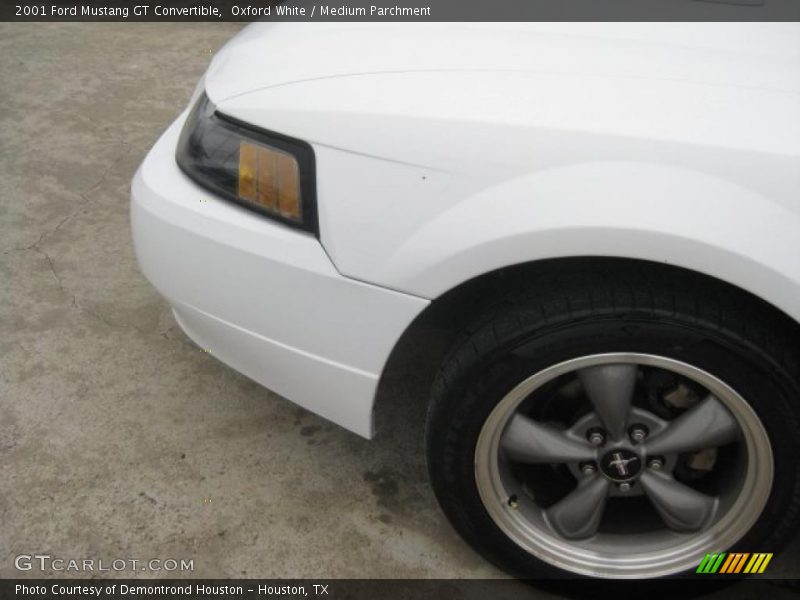 Oxford White / Medium Parchment 2001 Ford Mustang GT Convertible