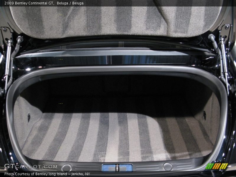 Beluga / Beluga 2009 Bentley Continental GT