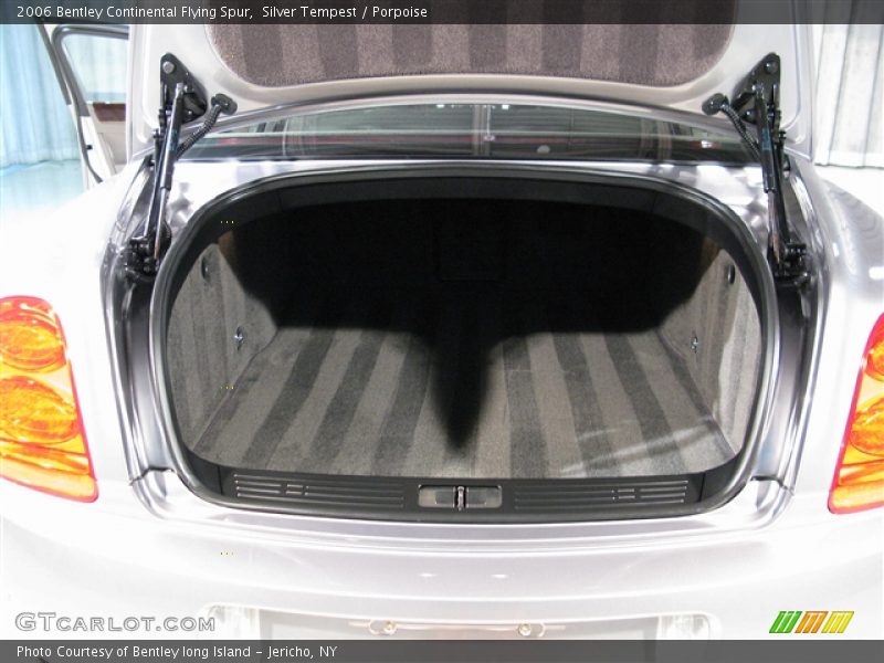 Silver Tempest / Porpoise 2006 Bentley Continental Flying Spur