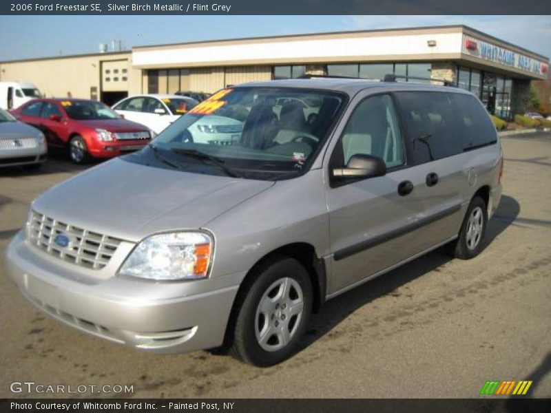 Silver Birch Metallic / Flint Grey 2006 Ford Freestar SE