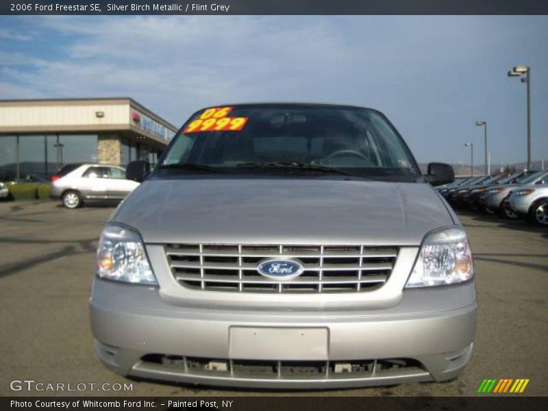 Silver Birch Metallic / Flint Grey 2006 Ford Freestar SE