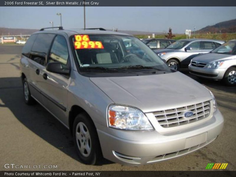 Silver Birch Metallic / Flint Grey 2006 Ford Freestar SE