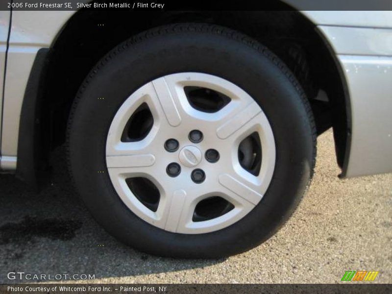 Silver Birch Metallic / Flint Grey 2006 Ford Freestar SE