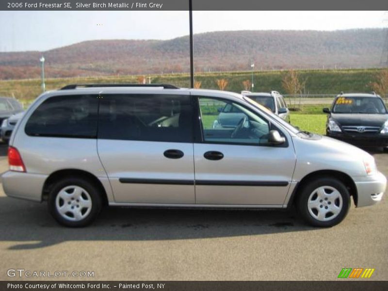 Silver Birch Metallic / Flint Grey 2006 Ford Freestar SE