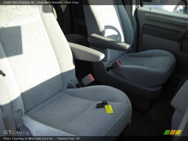 Silver Birch Metallic / Flint Grey 2006 Ford Freestar SE