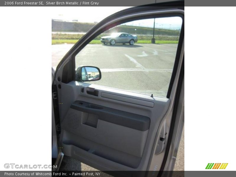 Silver Birch Metallic / Flint Grey 2006 Ford Freestar SE