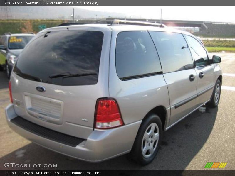 Silver Birch Metallic / Flint Grey 2006 Ford Freestar SE