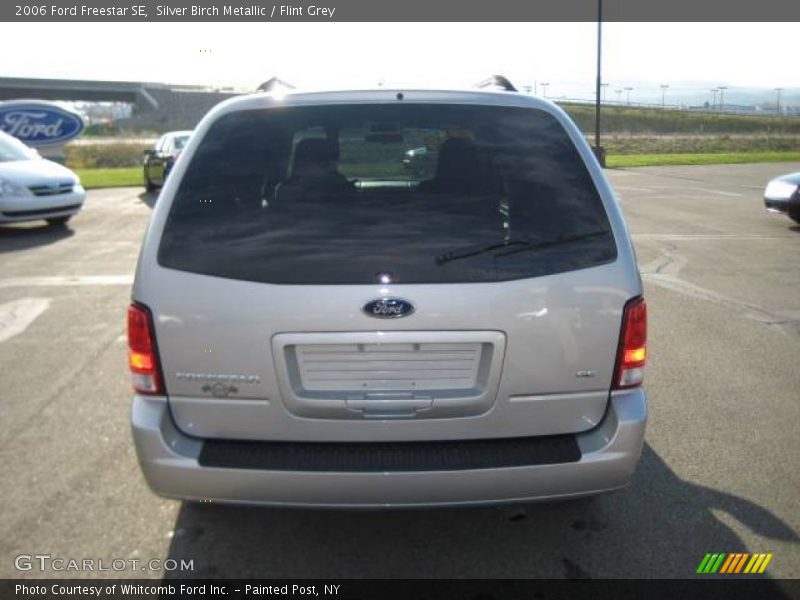 Silver Birch Metallic / Flint Grey 2006 Ford Freestar SE