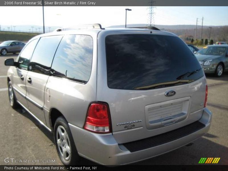 Silver Birch Metallic / Flint Grey 2006 Ford Freestar SE