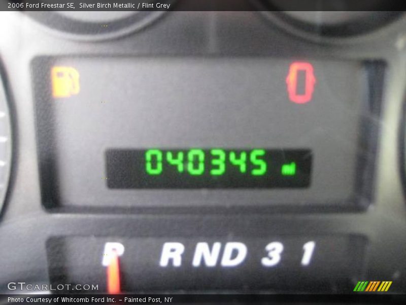 Silver Birch Metallic / Flint Grey 2006 Ford Freestar SE