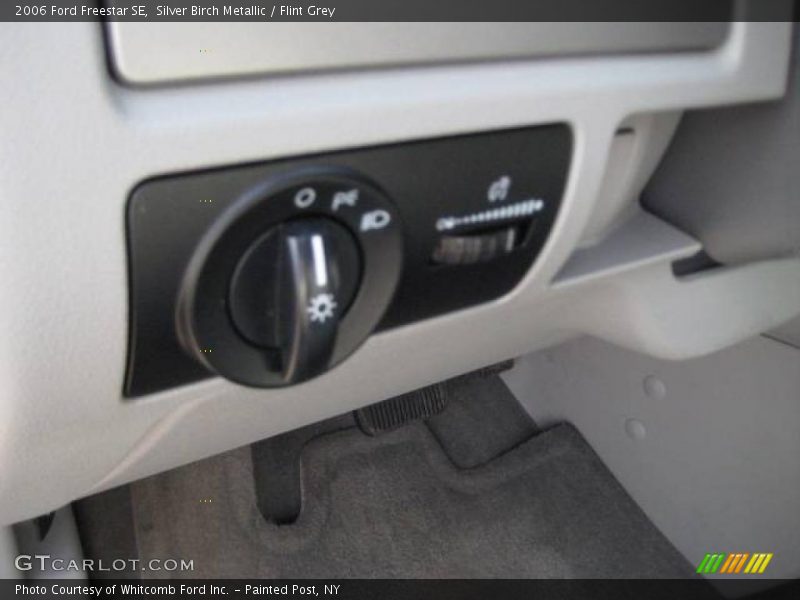 Silver Birch Metallic / Flint Grey 2006 Ford Freestar SE