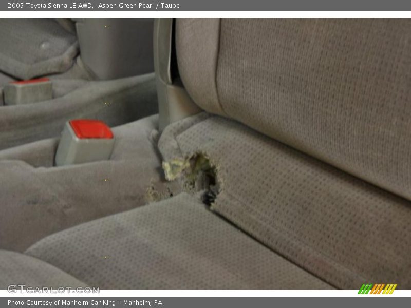 Aspen Green Pearl / Taupe 2005 Toyota Sienna LE AWD