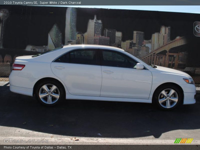 Super White / Dark Charcoal 2010 Toyota Camry SE