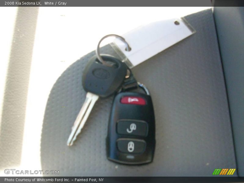 White / Gray 2008 Kia Sedona LX