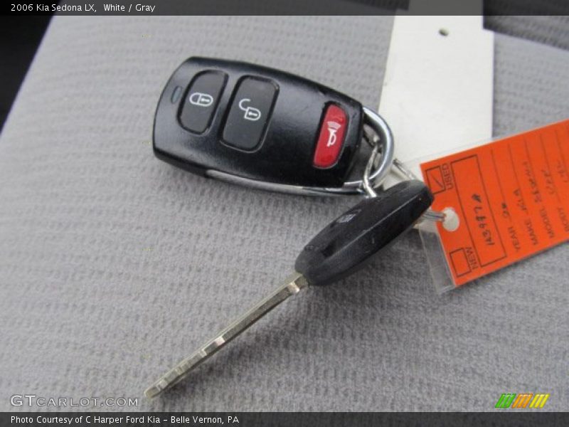 White / Gray 2006 Kia Sedona LX