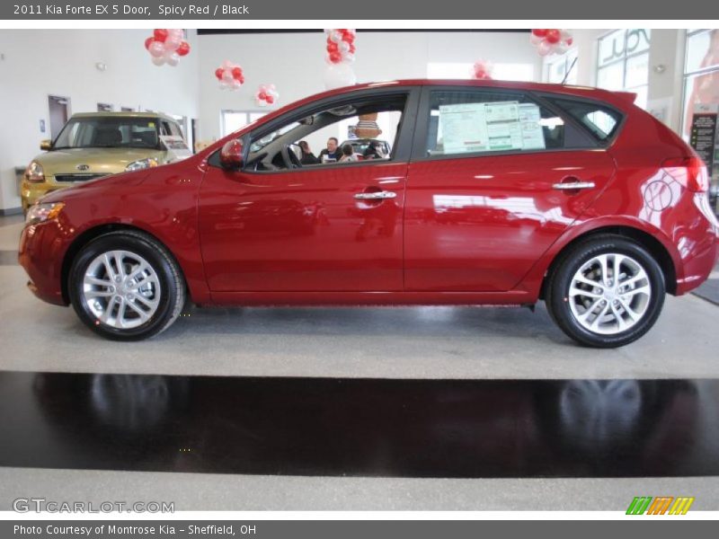 Spicy Red / Black 2011 Kia Forte EX 5 Door
