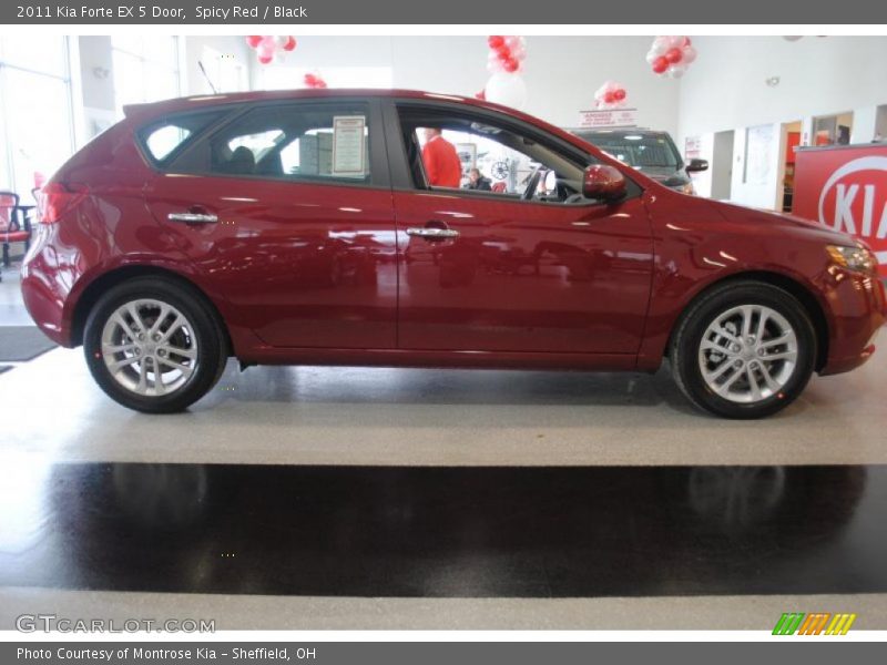 Spicy Red / Black 2011 Kia Forte EX 5 Door