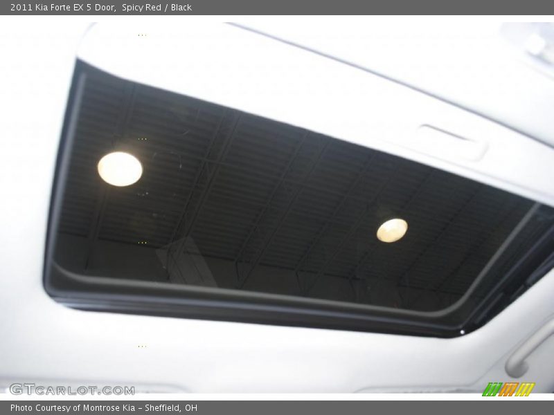 Spicy Red / Black 2011 Kia Forte EX 5 Door