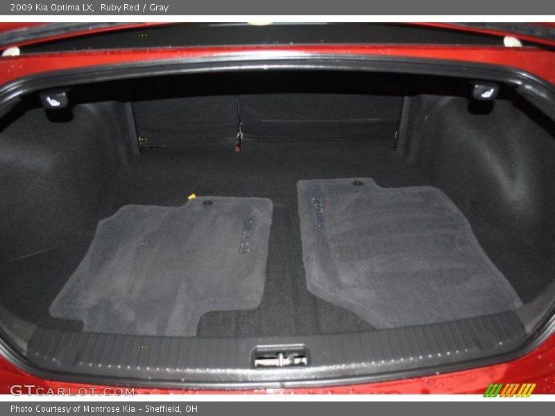 Ruby Red / Gray 2009 Kia Optima LX