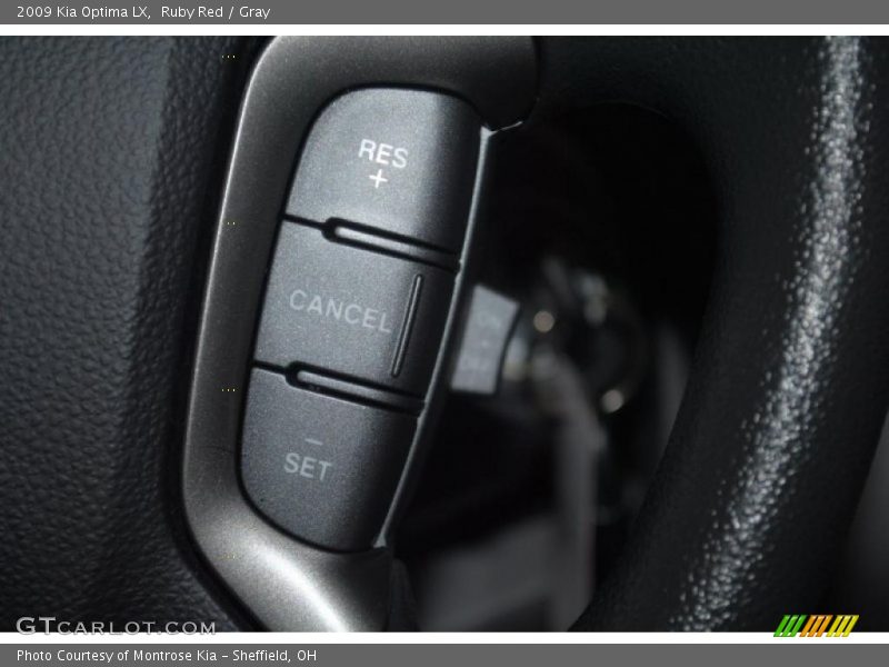 Ruby Red / Gray 2009 Kia Optima LX