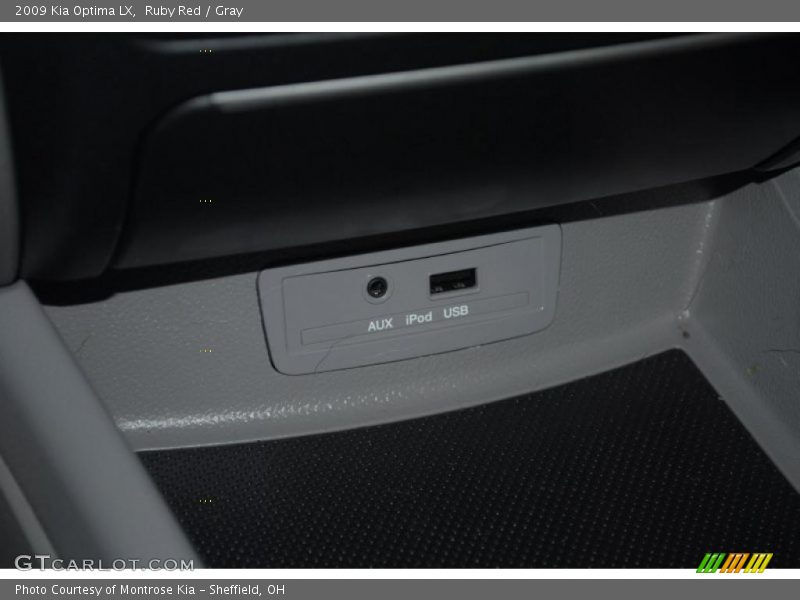 Ruby Red / Gray 2009 Kia Optima LX