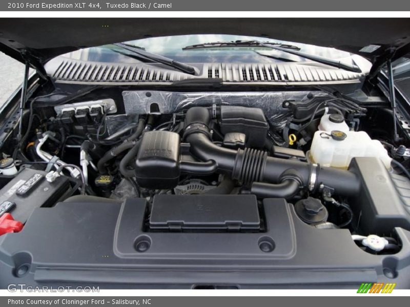 Tuxedo Black / Camel 2010 Ford Expedition XLT 4x4