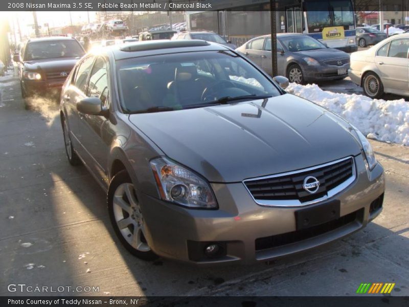 Pebble Beach Metallic / Charcoal Black 2008 Nissan Maxima 3.5 SE