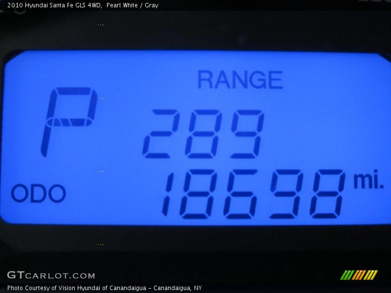Pearl White / Gray 2010 Hyundai Santa Fe GLS 4WD