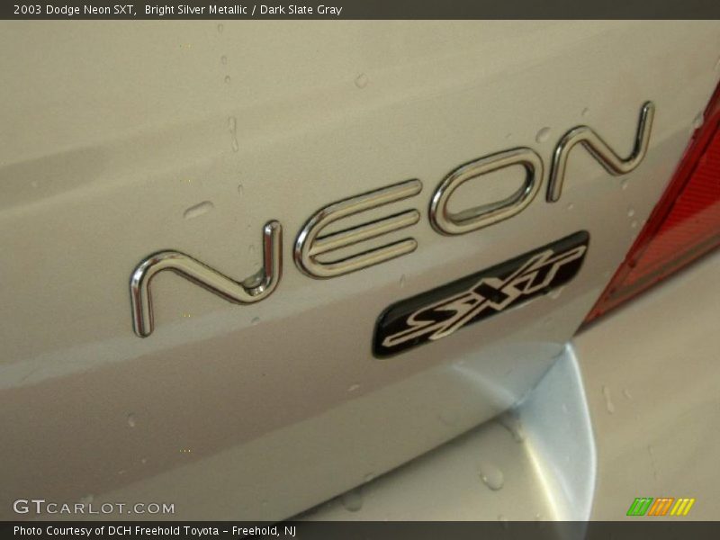 Bright Silver Metallic / Dark Slate Gray 2003 Dodge Neon SXT