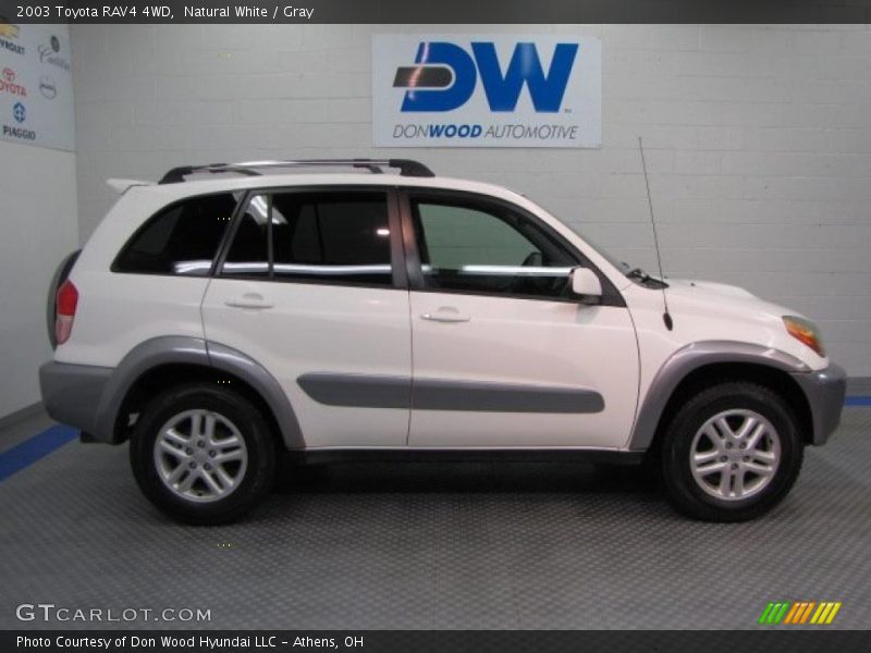 Natural White / Gray 2003 Toyota RAV4 4WD