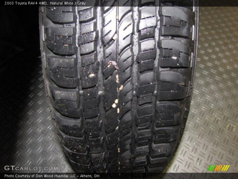Natural White / Gray 2003 Toyota RAV4 4WD