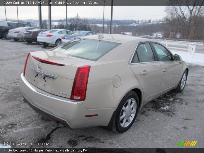 Gold Mist / Cashmere/Cocoa 2009 Cadillac CTS 4 AWD Sedan