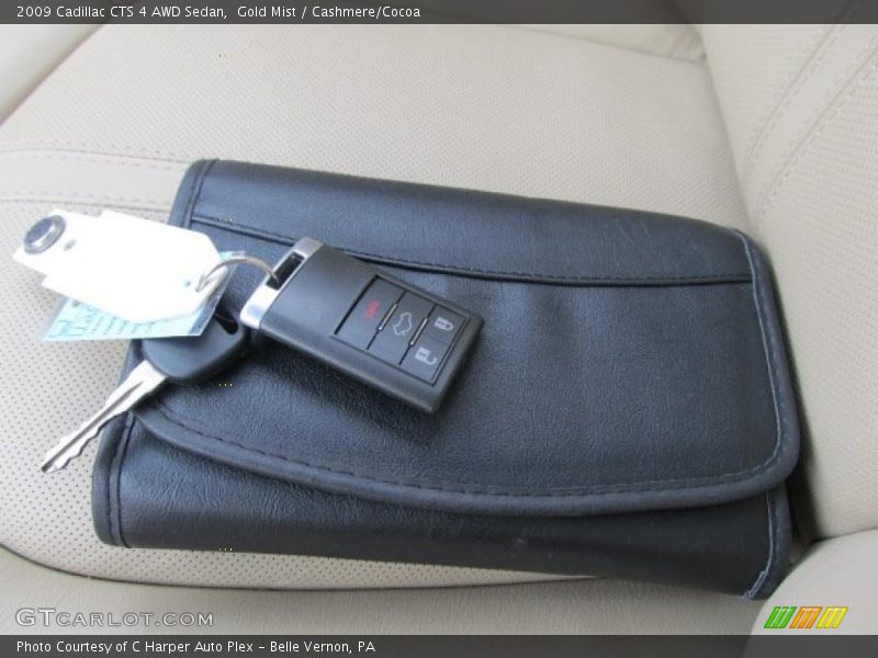 Gold Mist / Cashmere/Cocoa 2009 Cadillac CTS 4 AWD Sedan