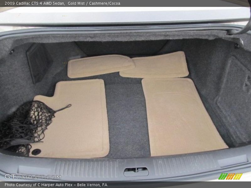 Gold Mist / Cashmere/Cocoa 2009 Cadillac CTS 4 AWD Sedan