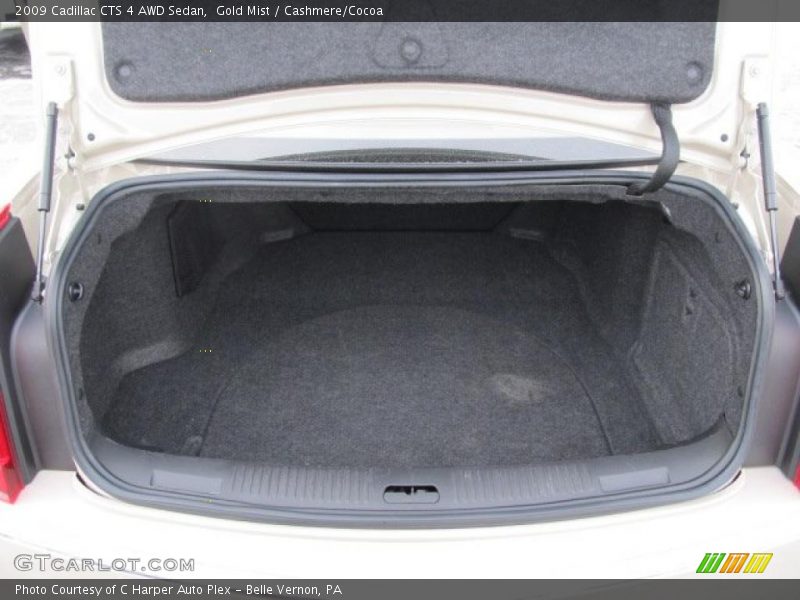 Gold Mist / Cashmere/Cocoa 2009 Cadillac CTS 4 AWD Sedan