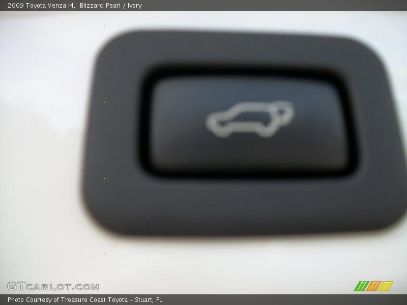 Blizzard Pearl / Ivory 2009 Toyota Venza I4