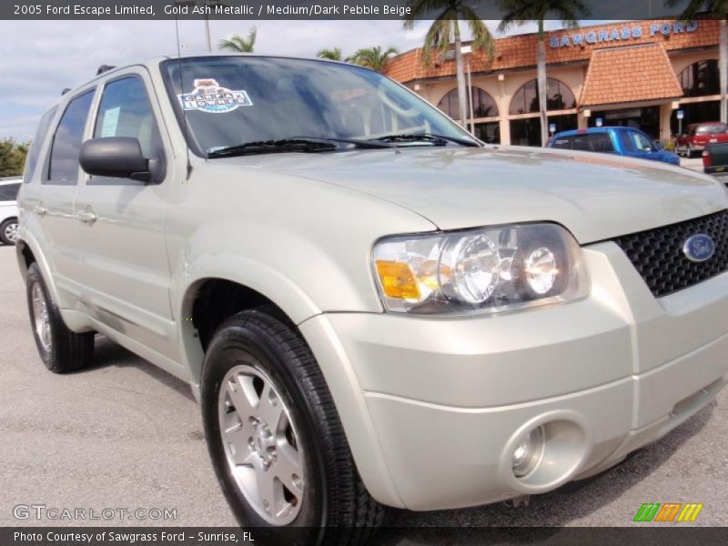 Gold Ash Metallic / Medium/Dark Pebble Beige 2005 Ford Escape Limited