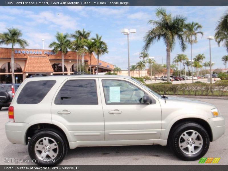  2005 Escape Limited Gold Ash Metallic