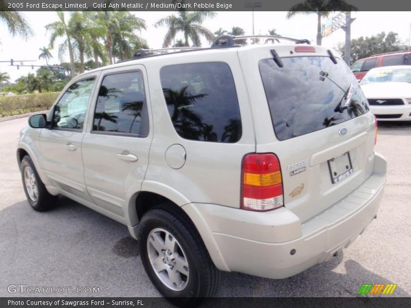  2005 Escape Limited Gold Ash Metallic