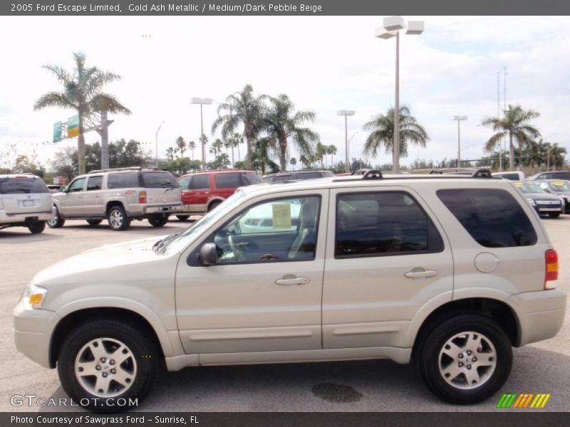 Gold Ash Metallic / Medium/Dark Pebble Beige 2005 Ford Escape Limited