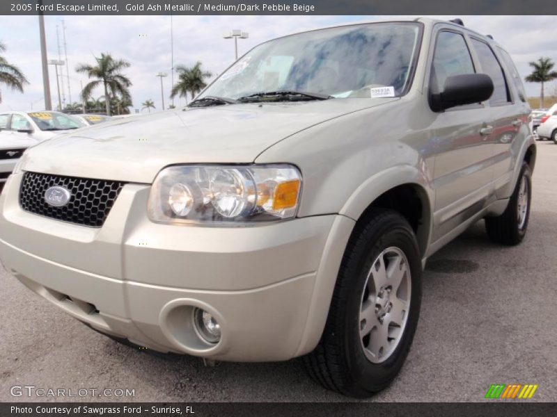 Gold Ash Metallic / Medium/Dark Pebble Beige 2005 Ford Escape Limited
