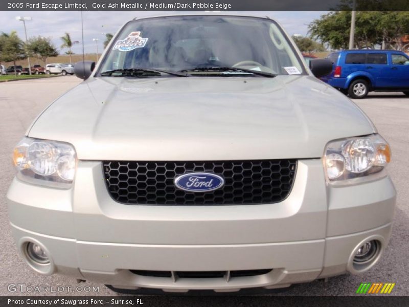 Gold Ash Metallic / Medium/Dark Pebble Beige 2005 Ford Escape Limited