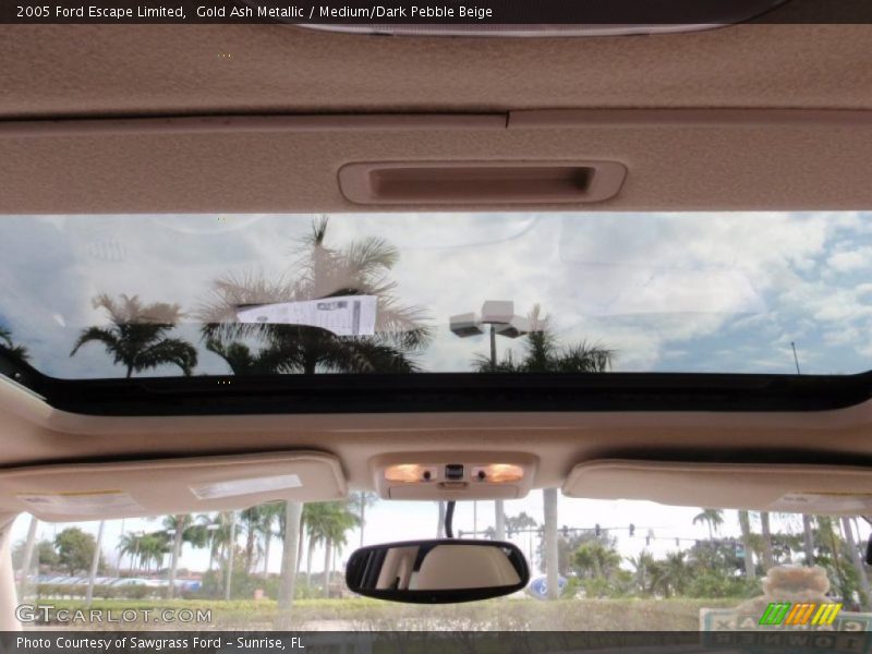 Gold Ash Metallic / Medium/Dark Pebble Beige 2005 Ford Escape Limited