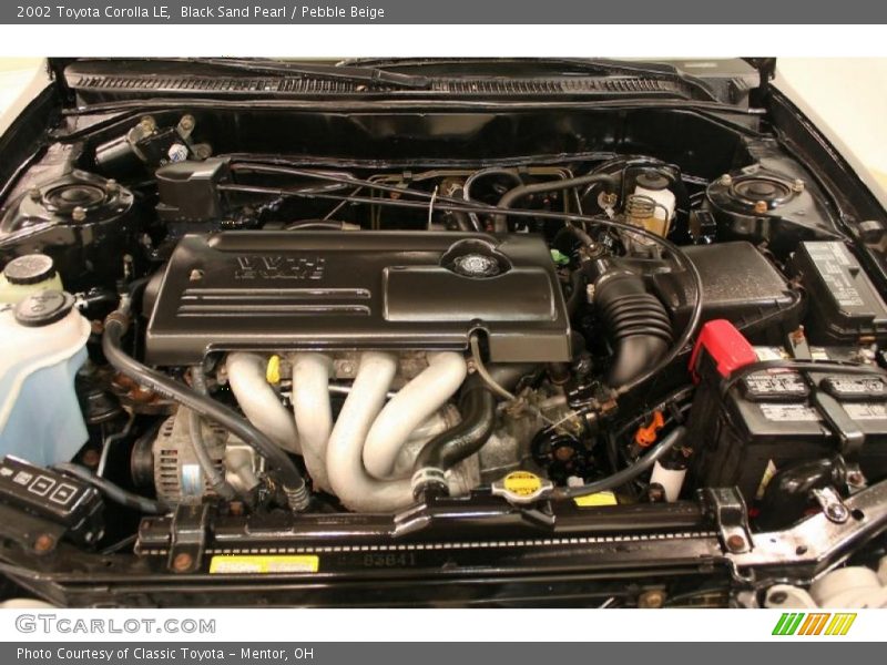 Black Sand Pearl / Pebble Beige 2002 Toyota Corolla LE